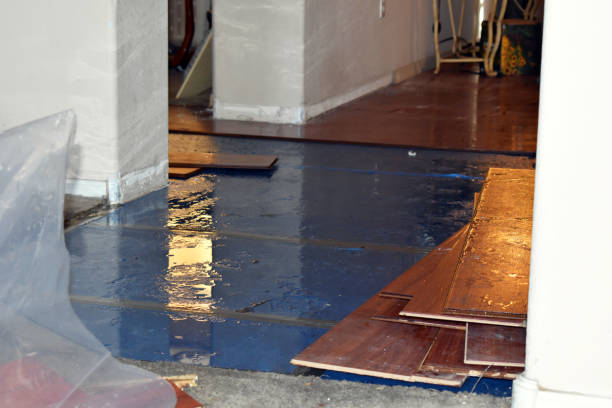 Professional Water Damage Restoration technician working in New Straitsville, OH